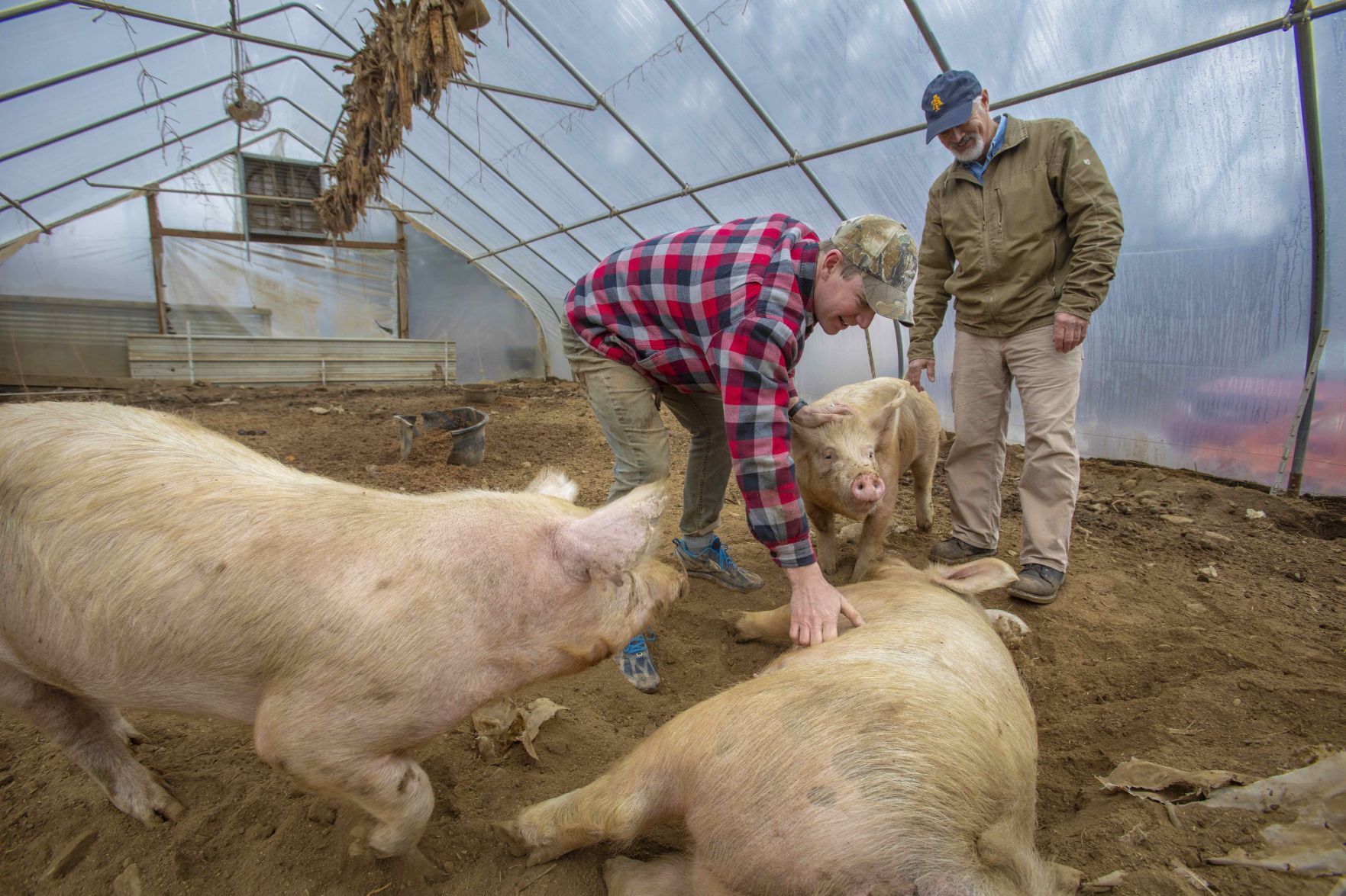 Trosly Farm Hoffman Nidiffer